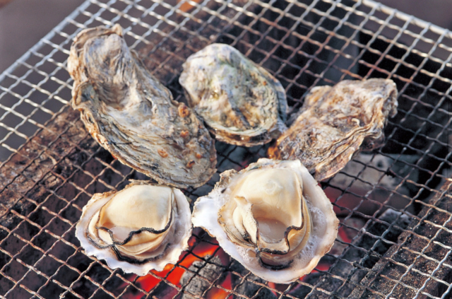 【佐賀グルメ×竹崎のカキ&カニ】自家製の大粒カキは海のエキスがたっぷり「竹崎海産」