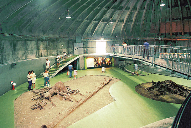 魚津埋没林博物館