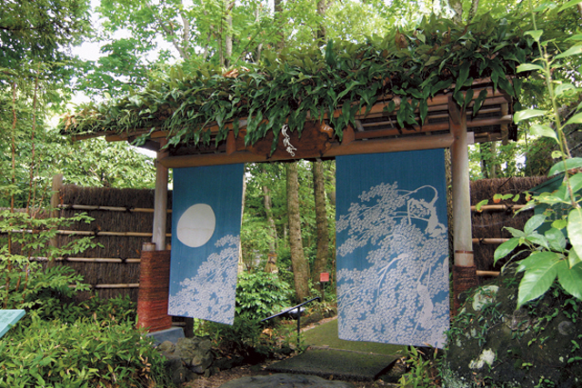 隠れ宿の奥座敷で自然美と山海の幸に舌鼓「伊豆高原 城ヶ崎温泉 花吹雪 森の料理茶屋」