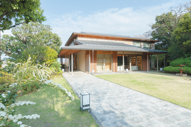 フレンチと静岡茶のティーペアリング「フレンチレストラン やまもも」