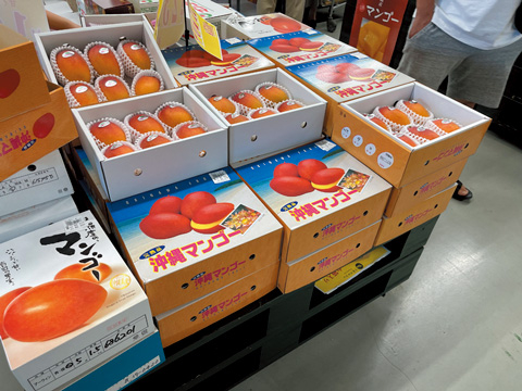 うるま市のおいしいものが集結「うるマルシェ」