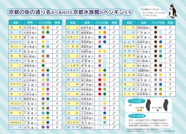 魅力①水族館の人気者!かわいいペンギンたち