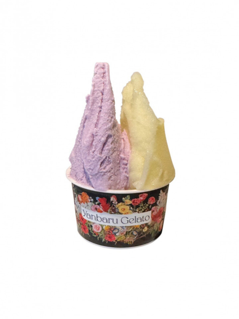 世界が認めたジェラートは感動的なおいしさ!「やんばるジェラート 本店」