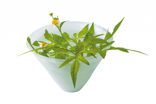 伝統製法による粋なガラス作品「琉球ガラス工房 glacitta’」