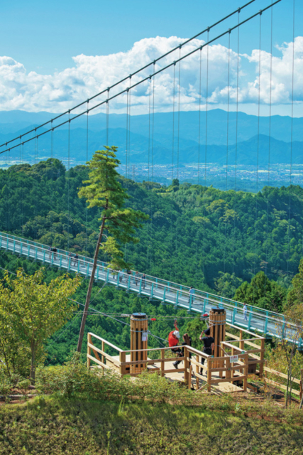 伊豆長岡や周辺エリア観光の楽しみ方⑥ 三島スカイウォークでロングジップスライドに挑戦しよう!