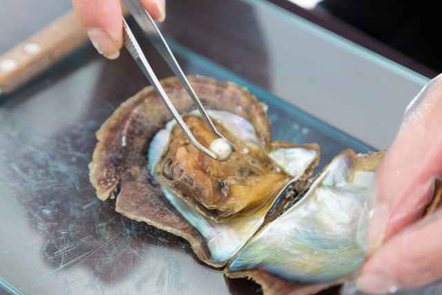 【ウミカジテラスのショッピングスポット第2位】ジュエリーショップ「PERLABLU」