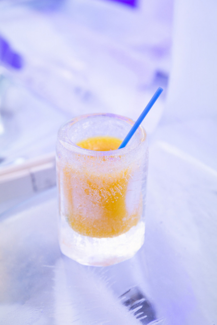 【ウミカジテラスのカフェ&食事スポット第2位】氷点下の世界が広がるアイスバー「ICE TERRAⓒE」