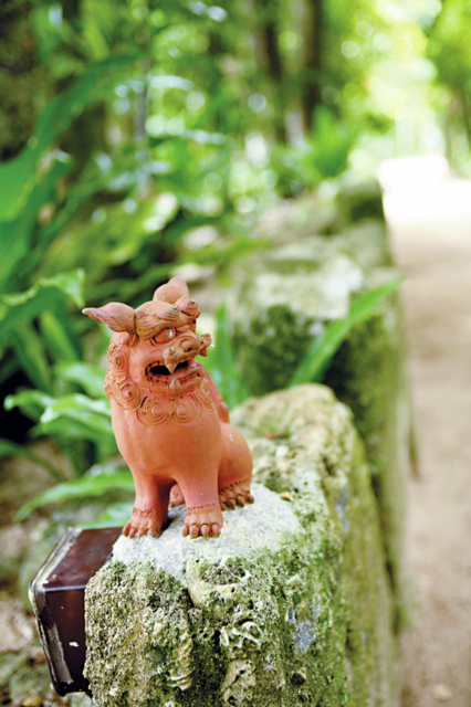 ④備瀬のフクギ並木