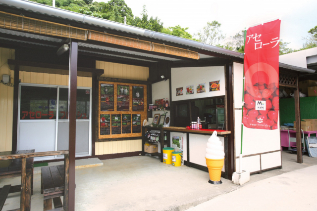 ビタミンたっぷりのアセロラデザート「アセローラ フレッシュ」