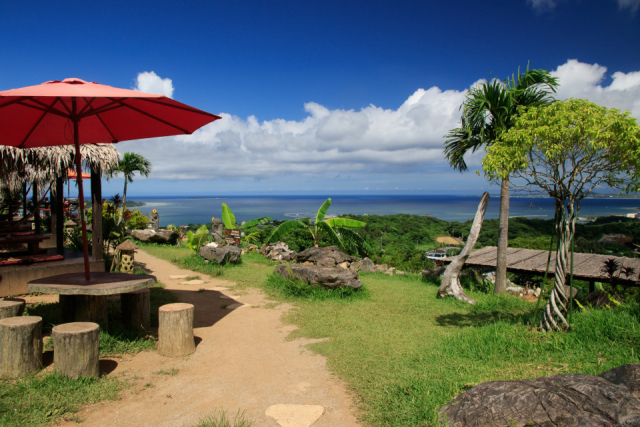 【沖縄×オーシャンビューのカフェ】亜熱帯茶屋