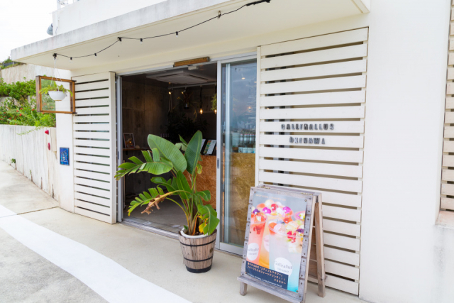 宝石のようなまんまるゼリーがきらめく「Gallirallus」