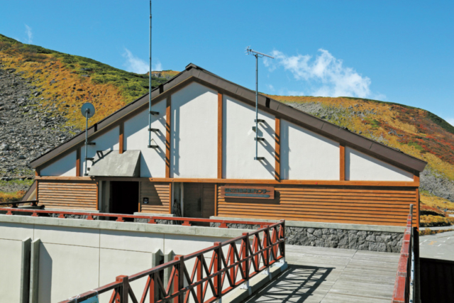 アルペンルートで出会える植物・動物図鑑