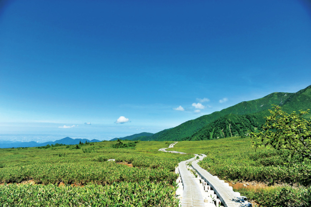 弥陀ヶ原コース