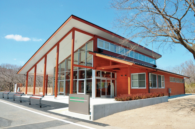 樹林の中でじっくりと自然観察ができる「樹林エリア」