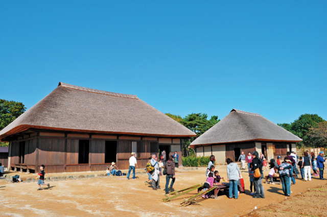 ひたちなか市内でもっとも標高の高いみはらしの丘がある「みはらしエリア」