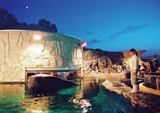 【旭山動物園のおすすめイベント】夜の動物園