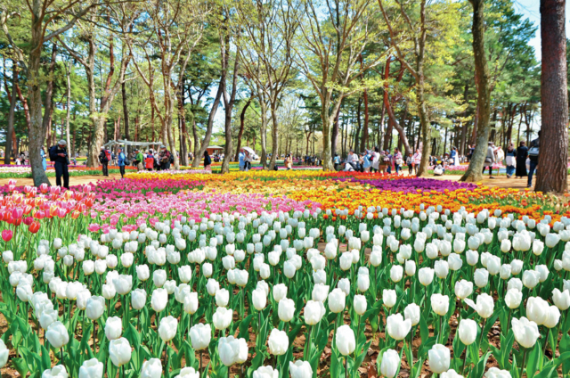 野鳥も棲息する人工池が目印「西口エリア」