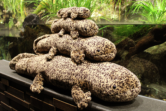 ユニークなグッズが揃うミュージアムショップ