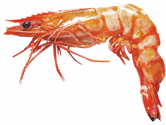 【熱海の駅前商店街&駅チカの食べ歩きスポット】魚とや