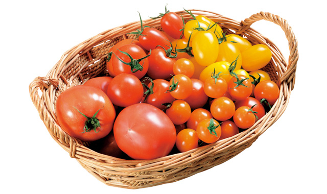 【新潟名物グルメ】農家レストラン ラ・トラットリア エストルト<新潟タウン>