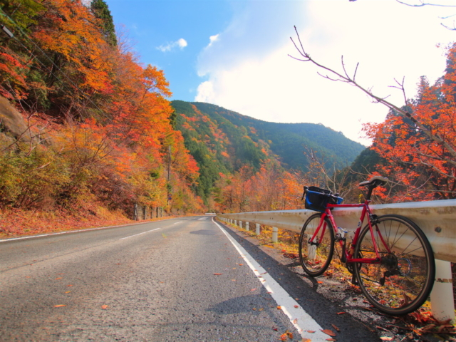 奈良 和歌山 秋の名道 高野龍神スカイライン 紅葉ドライブガイド まっぷるトラベルガイド