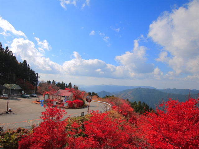 奈良 和歌山 秋の名道 高野龍神スカイライン 紅葉ドライブガイド まっぷるトラベルガイド