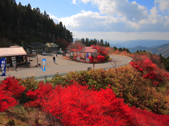 奈良 和歌山 秋の名道 高野龍神スカイライン 紅葉ドライブガイド まっぷるトラベルガイド