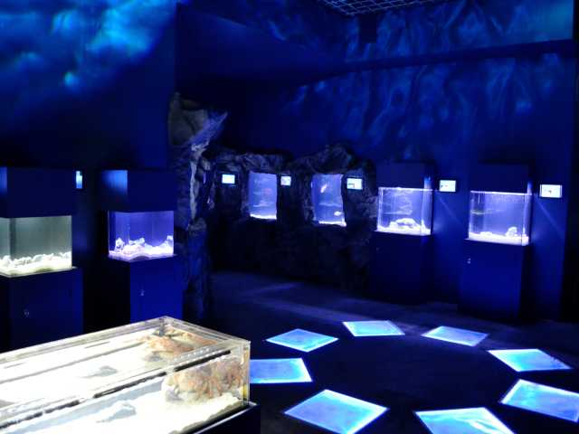 伊豆・三津シーパラダイス