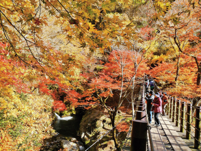 茨城のおすすめドライブコース4選 色彩豊かな峰々の紅葉 名瀑や渓谷を見に行こう まっぷるトラベルガイド 茨城のおすすめドライブコース4選 色彩豊かな峰々の紅葉 名瀑や渓谷を見に行こう まっぷるトラベルガイド