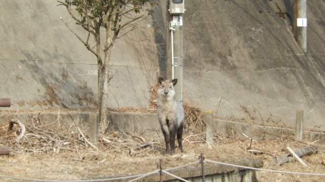 廃線ウォークのゴール!