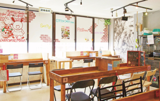 【大阪×動物】お気に入りのもふもふっ子と思う存分ふれあえる!「小動物カフェ ROCK STAR」