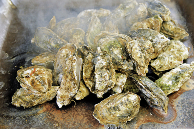 【松島グルメ×カキ】松島さかな市場 焼がきハウス