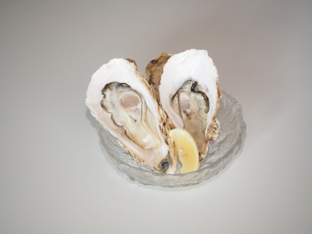 【松島グルメ×カキ】南部屋
