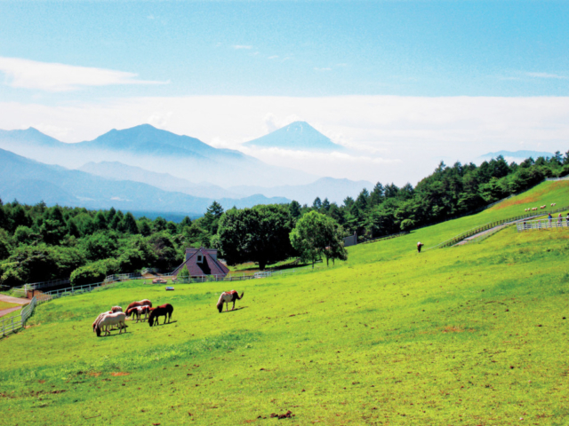 長野のおすすめドライブコース4選 澄んだ空気と絶景を楽しもう まっぷるトラベルガイド 長野のおすすめドライブコース4選 澄んだ空気と絶景を楽しもう まっぷるトラベルガイド
