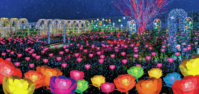 光の花の庭【10月下旬~2月上旬】