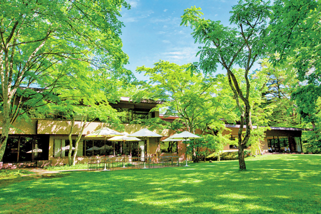 森のテラスで味わう伝統のスイーツ「ホテル鹿島ノ森 メイプルラウンジ」