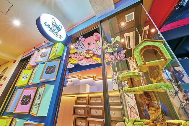 猫をテーマにした本格派タピオカ専門店「猫甜茶室capioca」