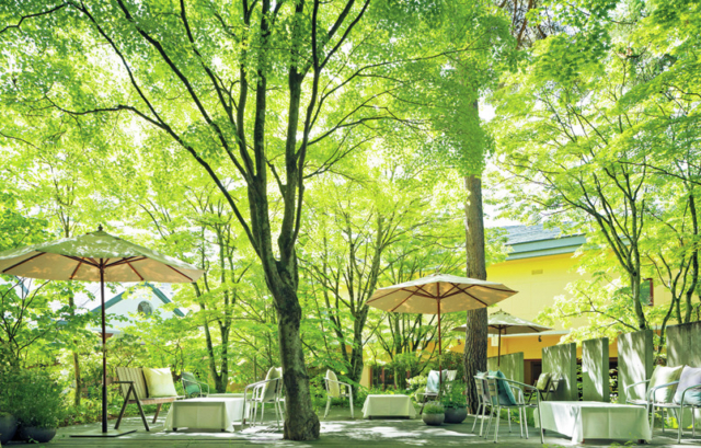 木製BOXから飛びだすおいしい”作品”を召し上がれ「星野リゾート 軽井沢ホテルブレストンコート ザ・ラウンジ」