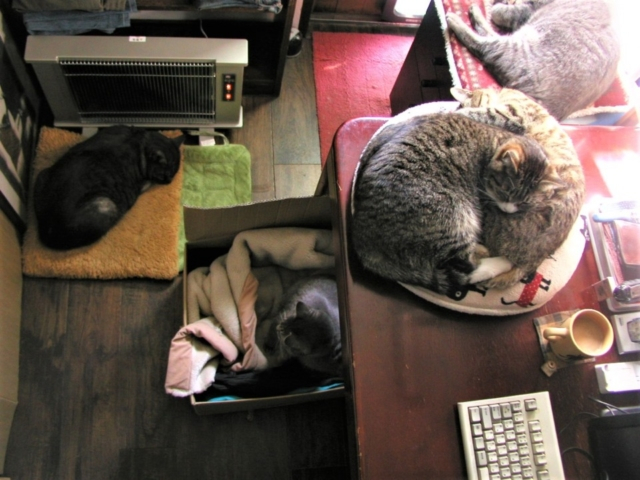 山と海の見える場所に住む