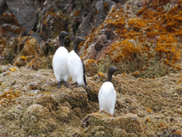 これぞ北海道!雄大な自然や景色を楽しめるオロロンライン