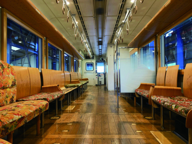 のどかな田園の中を走る列車「田園シンフォニー」<2020年3月運行終了>