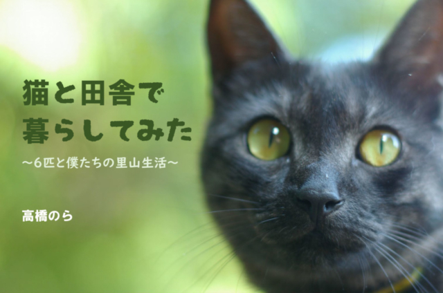 おすすめの連載 猫エッセイ もっと猫が好きになる かわいくて癒される3つのエッセイ まっぷるトラベルガイド おすすめの連載 猫エッセイ もっと猫が好きになる かわいくて癒される3つのエッセイ まっぷるトラベルガイド