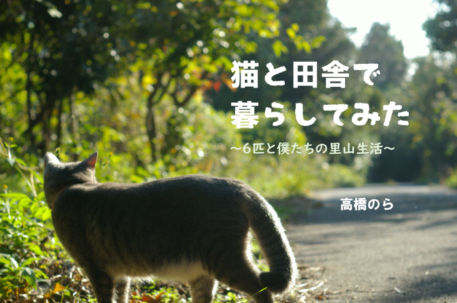 【連載エッセイ・第7回】猫と田舎で暮らしてみた~6匹と僕たちの里山生活~