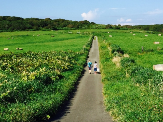 オロロンライン穴場スポット2.豊かな自然と羊の島「焼尻島」