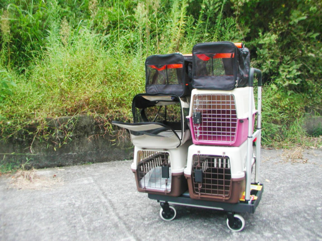 大分の国東半島から静岡の伊豆半島へ