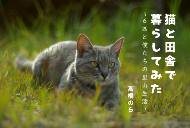 【連載エッセイ・第4回】猫と田舎で暮らしてみた~6匹と僕たちの里山生活~
