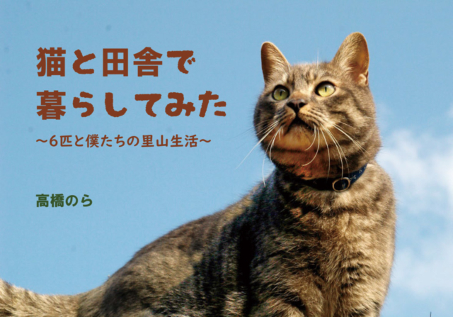 連載エッセイ 第1回 猫と田舎で暮らしてみた 6匹と僕たちの里山生活 まっぷるトラベルガイド 連載エッセイ 第1回 猫と田舎で暮らしてみた 6匹と僕たちの里山生活 まっぷるトラベルガイド