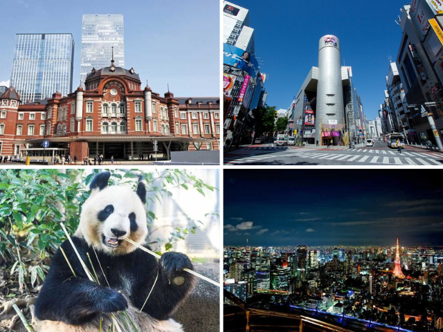 東京都内のお出かけスポット 61選!おすすめスポットで楽しもう!