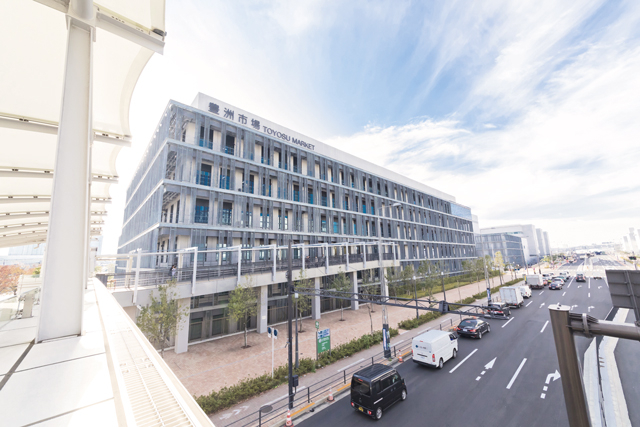 豊洲市場ってこんなところ