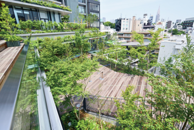 【東京1日観光プラン×トレンド3】WITH HARAJUKU